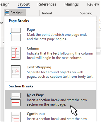 Section break for next page