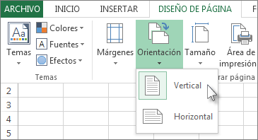 En la pestaña Inicio, haga clic en Orientación