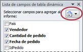 Botón Ver lista de campos de tabla dinámica