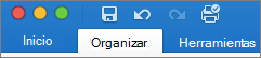 pestaña Organizar