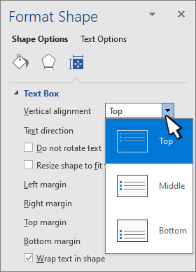 Panel Formato de forma con alineación vertical seleccionada