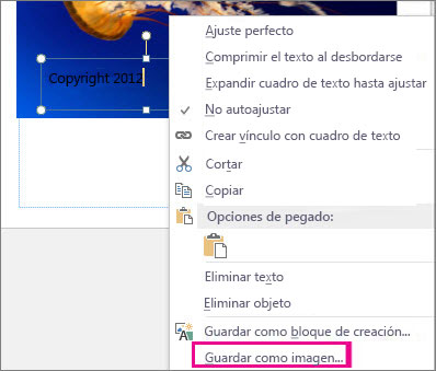 Guardar como imagen