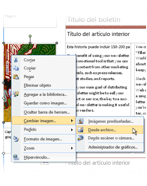 Cambiar la imagen de marcador de posición