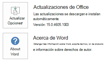 Captura de pantalla de las opciones de actualización con la versión mostrada.