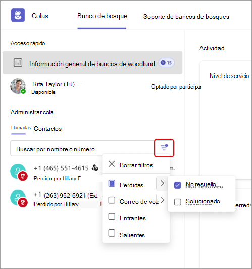 Captura de pantalla que muestra detalles del filtro de llamadas en Colas aplicación.