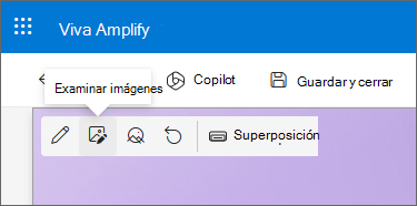 Captura de pantalla del icono Examinar imágenes en la barra de herramientas.