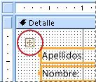 Selector de diseño en un formulario en la vista Diseño