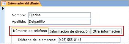Formulario que contiene un control de pestaña