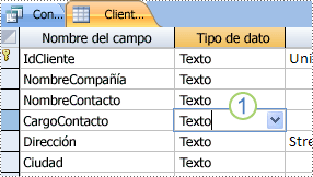 Comprobar el tipo de datos del campo combinado en la vista Diseño de la tabla