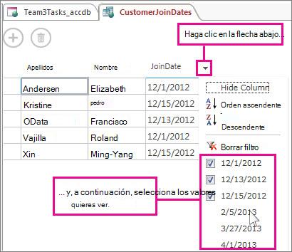 Filtrar una columna de una consulta en una aplicación de Access.