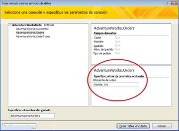 Parámetros de la conexión de datos de servicios web