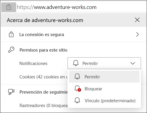 Imagen que muestra los permisos de notificaciones en la barra de direcciones del explorador Edges.