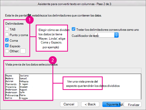 Paso 2 del asistente, bajo Delimitadores, elija la manera en que se dividen sus datos; bajo Vista previa puede ver una vista previa de los datos