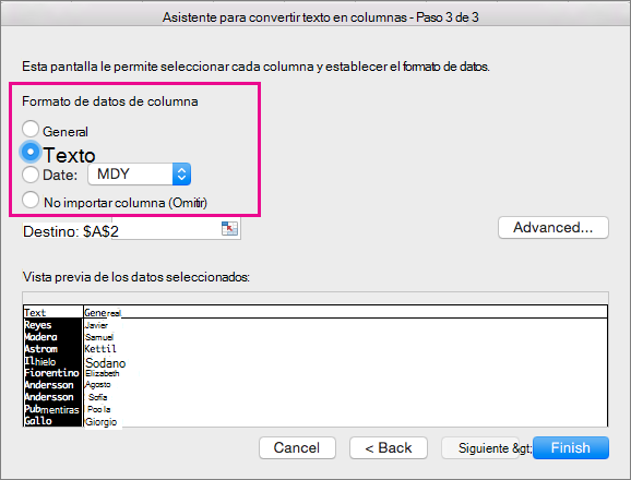 Paso 3 del asistente, opción Texto seleccionada