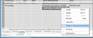 Ocultar un campo en PowerPivot