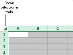 Botón Seleccionar todo