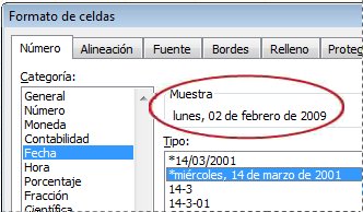 Cuadro de muestra seleccionado en el cuadro de diálogo Formato de celdas