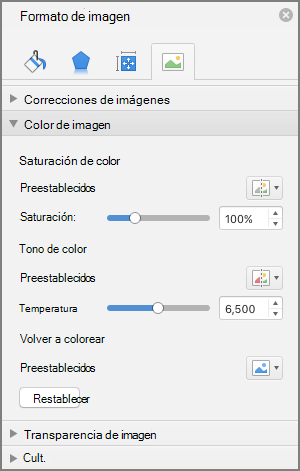 Ajustar la configuración de saturación de color en el panel Formato de imagen
