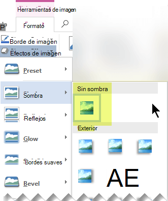 Desactive un efecto de imagen que no desee eligiendo la opción Sin efecto.