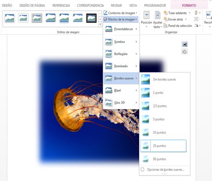 Use Efectos de la imagen para agregar sombra, bordes suaves, biselados u otros efectos visuales.
