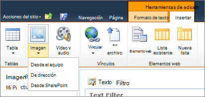 Haga clic en el botón de imagen en la cinta de opciones y seleccione entre el equipo, la dirección o SharePoint.