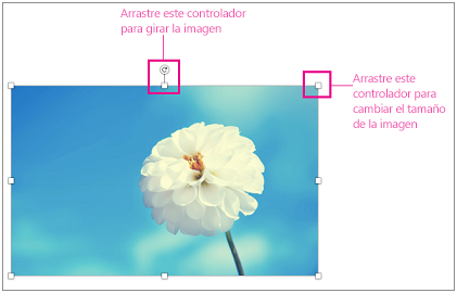 Imagen con controladores de tamaño resaltados