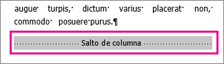 Selección de un salto de columna con Mostrar formato activado