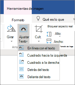 Ajustar opciones de texto