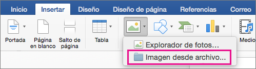En la pestaña Insertar, Imagen desde archivo está resaltado.