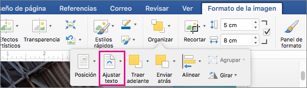 Haga clic en Ajustar texto para seleccionar cómo se ajusta el texto alrededor de una imagen o un objeto de dibujo.
