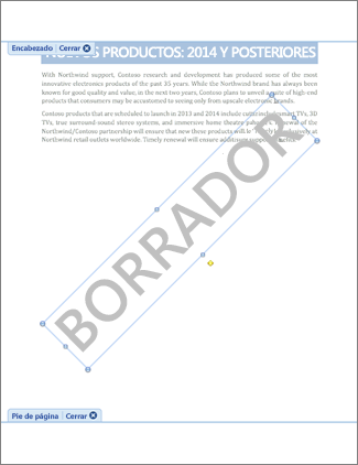 Imagen de documento con marca de agua Borrador.