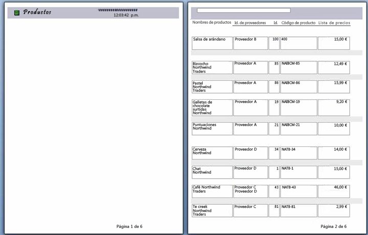 Vista previa de páginas de informe con salto de página aplicado