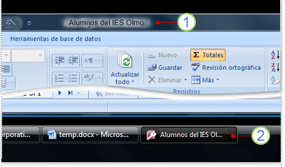 Barra de título y botón de la barra de tareas para la base de datos