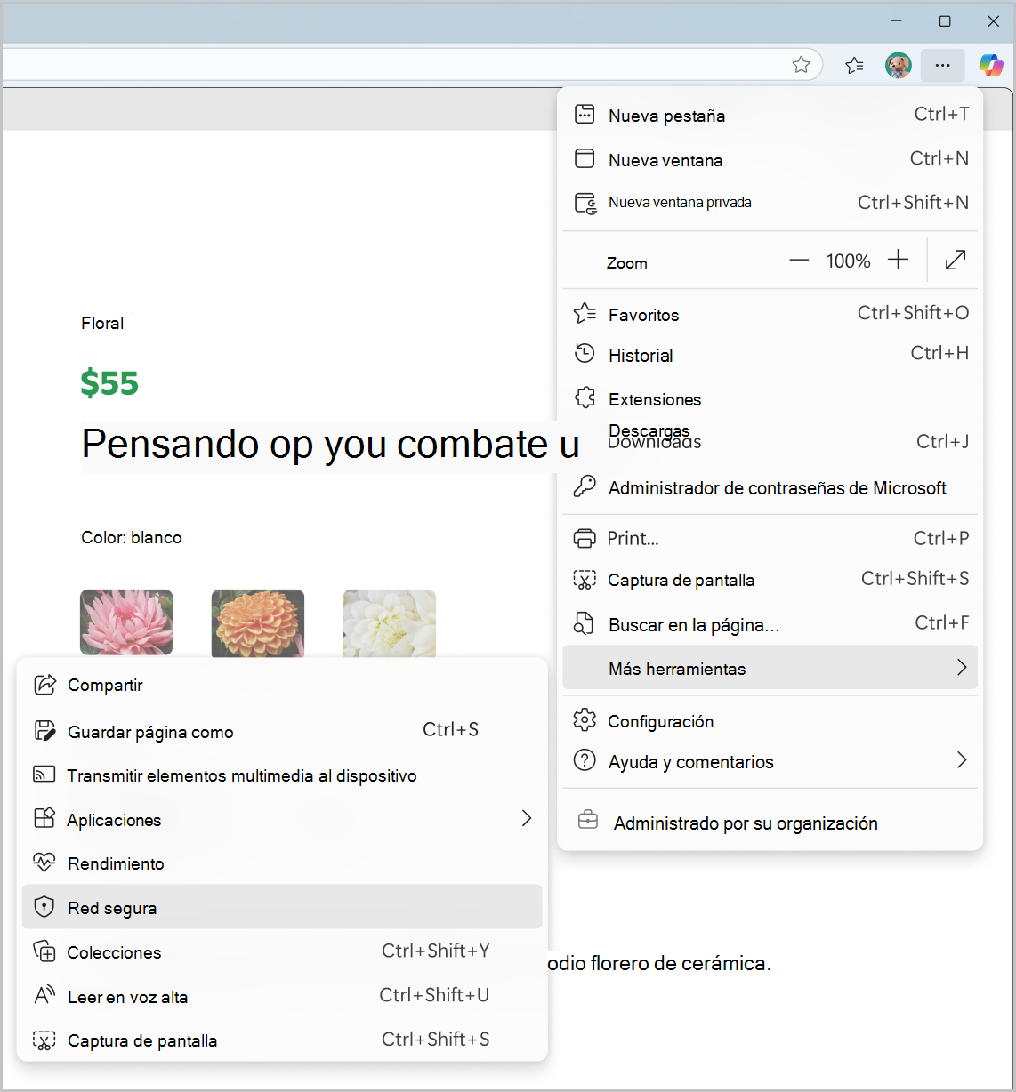 Captura de pantalla de Red segura desde el menú Configuración y más