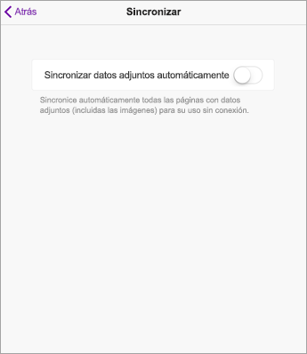 Desactive la sincronización automática en la configuración de OneNote en iPad.