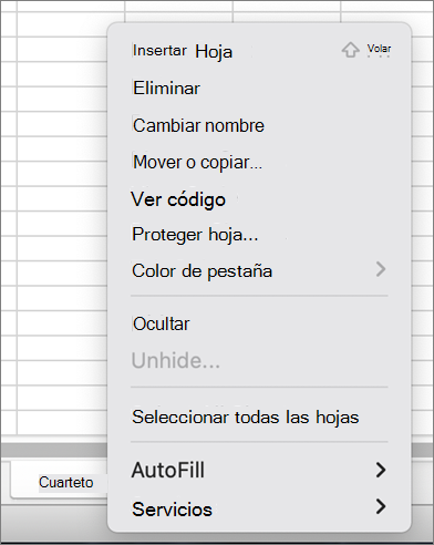 Menú Proteger libro no disponible MacOS