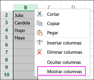 Opción Mostrar