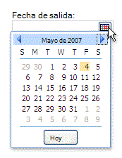 Abrir el calendario del selector de fecha con navegación por meses y botón Hoy