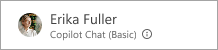 Captura de pantalla de la etiqueta de Copilot Chat (básico)