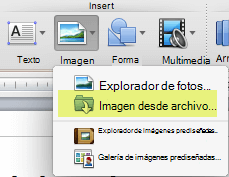 En la pestaña Inicio de la cinta de opciones, en Insertar, haga clic en Imagen > desde archivo.
