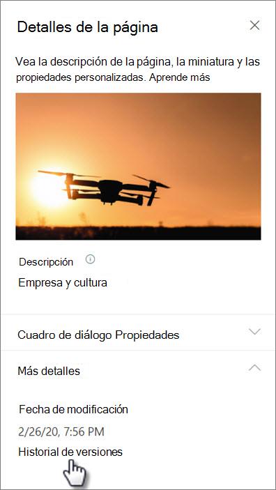 Captura de pantalla del vínculo del historial de versiones en detalles de la página