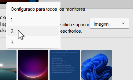 Captura de pantalla que muestra varias opciones personalizadas de monitor