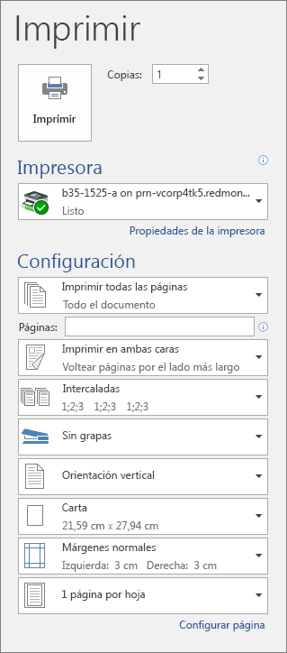 Captura de pantalla del panel Impresión con las diferentes configuraciones de impresión, como el número de copias.