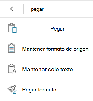 Pegar el formato