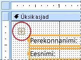 Vormi paigutusselektor kujundusvaates