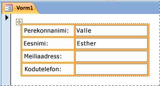 Vormil virnastatud paigutuses olevad väljad