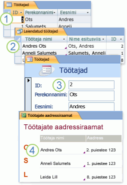 Päringus, vormil ja aruandes kasutatavad tabeliandmed