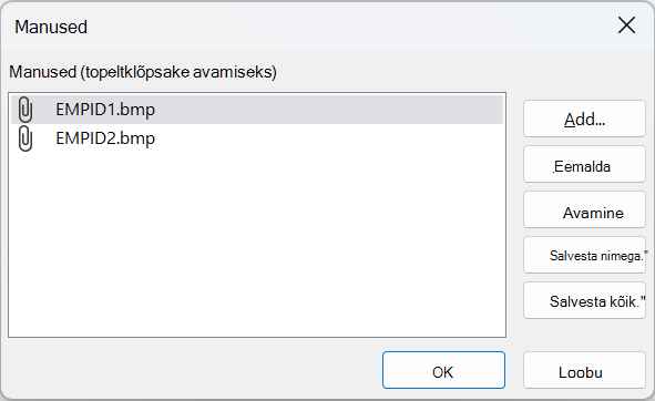Accessi dialoogiboks Manused, kus on kuvatud kaks BMP-faili.