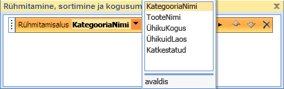 Väljaloend paanil Rühmitamine, sortimine ja kokkuvõte