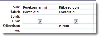 Pildil on kuvatud päringukujundaja nullkriteeriumidega kriteeriumiväli